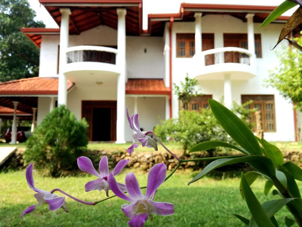 Hôtel Golden Beach Rest à Tangalle Extérieur photo